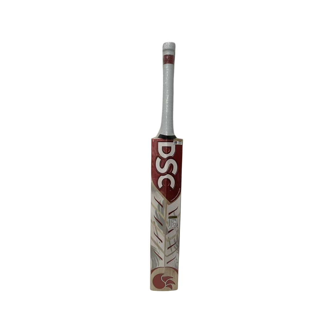 DSC Cricket Bat Kashmir Willow Leather Ball