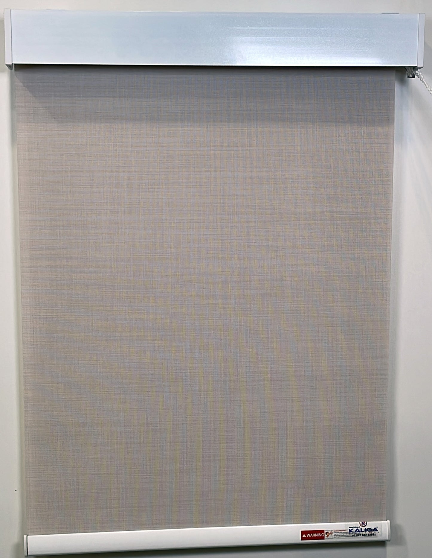 Roller Blind 6