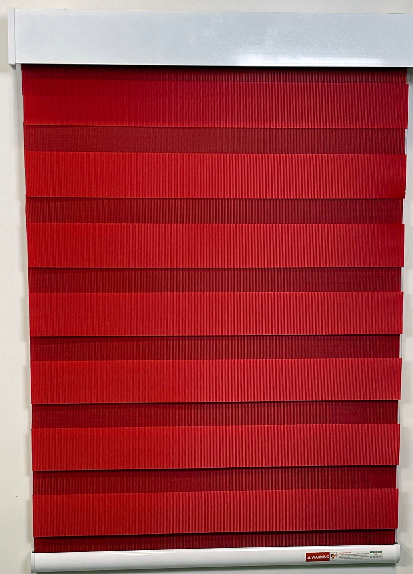 Zebra Blind 1
