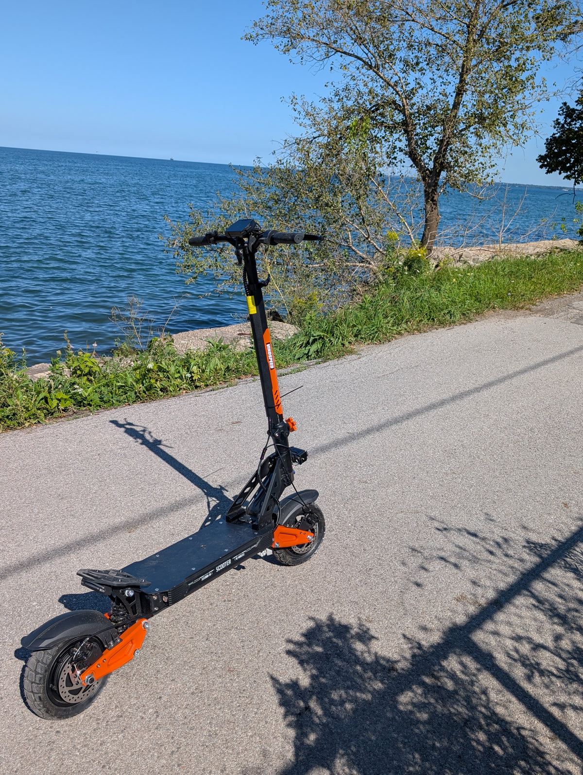 Vindspeed Velocity Z 12 Electric Scooter | 1200W High-Torque Motor | 55 km/h 35 Km Range Top Speed Birthday Gift