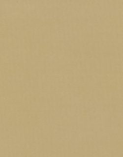 Roller Shades Swatches