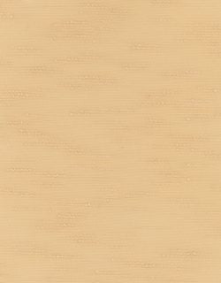 Roller Shades Swatches