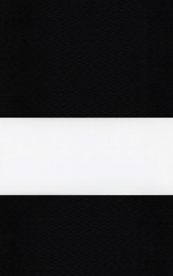 Dual Zebera Shade Swatches