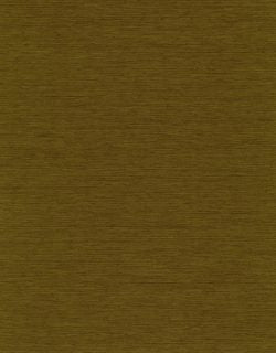 Roller Shades Swatches