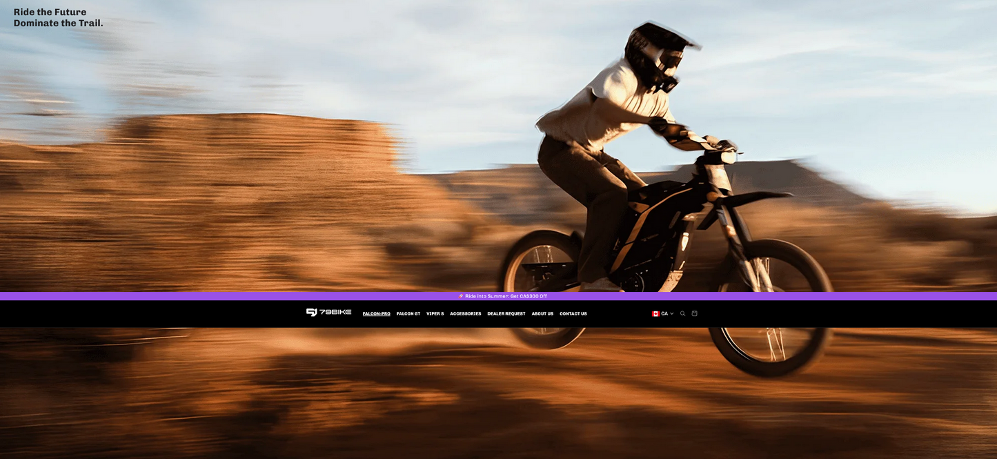 79BIKE-Falcon Pro  Electric Dirt Bike