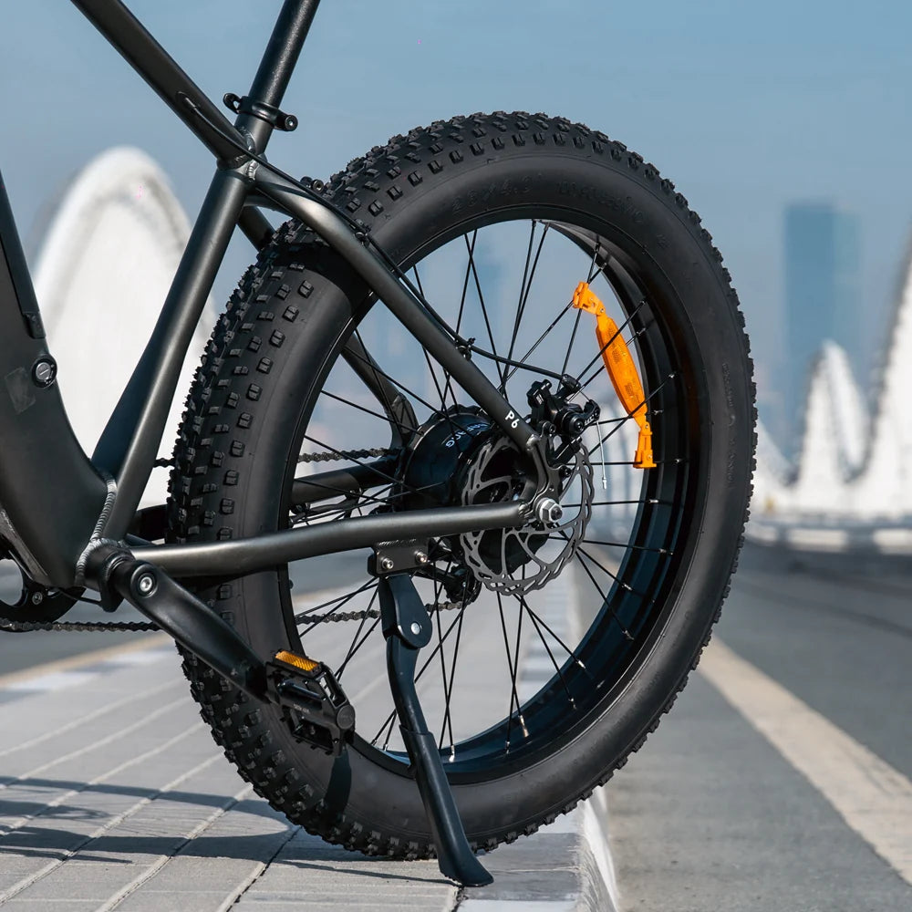 Hiboy P6 Fat Tire Electric Bike for Urban Country Road