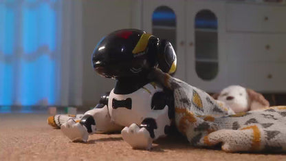 RC Remote Control Robot Dog