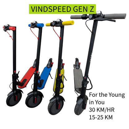 Gen Z Electric scooter 350W single Moto Best Deal with Free Helmet